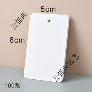 塑料PVC吊牌植物标牌树木记号牌分类色卡防水防晒防油花卉 白50丝8*5=100张