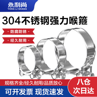 Yonglishang 304 stainless steel strong hose clamp european pipe clamp clamp fixed ring buckle water pipe clamp strong hose clamp 20-22 (2 pieces)
