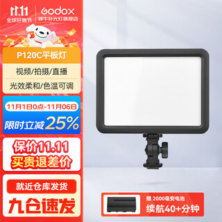 Godox (godox) fill light p120c photography light slr camera video light film and television photography wedding wedding lighting p120c flat light standard