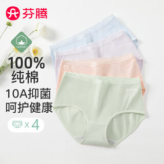 Fenton women's pure cotton underwear upgraded 10a antibacterial 4 pack new breathable soft simple briefs