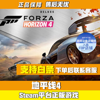 S正版Steam 极限竞速地平线4地平线5  Forza Horizon 5 游戏 地平线4（终极版） 全新白号可改