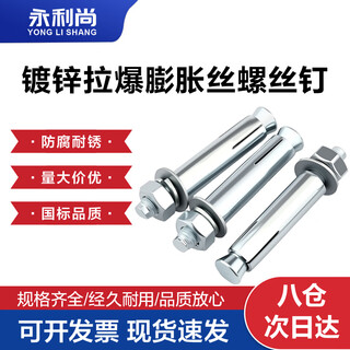 Yonglishang national standard iron galvanized expansion bolt expansion wire expansion screw m6*80 (10 pieces)
