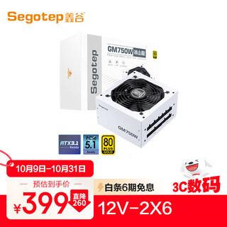 Xingu (segotep) gm750w atx3.1 gold medal full module iceberg version power supply (12v-2x6 supports 5060ti/5070ti graphics card/white wire/desktop computer main box)