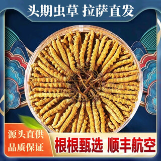 拉萨直发冬虫夏草正宗高海拔新鲜头期干货虫草自用送礼实惠非断草 【藏区直发】4根/克规格 10根装