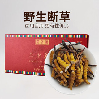 Observe the authentic tibetan wild cordyceps health supplements for middle-aged and elderly people, high-end cordyceps gifts, health care products, wild broken grass, affordable packaging, 30g gift boxes, wild cordyceps