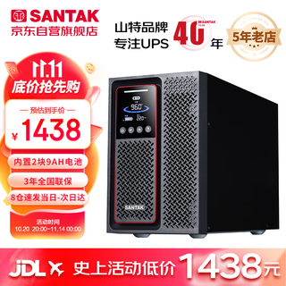 山特（SANTAK）C1K 在线式UPS不间断电源1000VA/1000W 稳压服务器机房电脑内置电池标准机