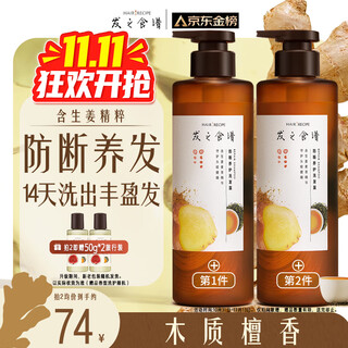 Hair recipes hair recipes ginger root tea anti-breakage hair nourishing shampoo 530g anti-dandruff shampoo for fluffy and strong hair for men and women