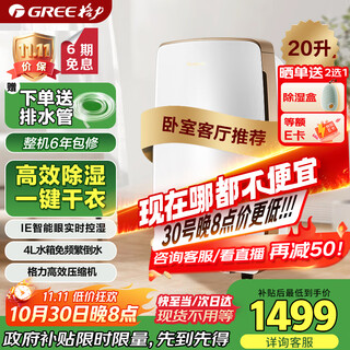 格力（GREE）【许我耀眼推荐】除湿机抽湿机家用20升/天卧室除潮防霉除湿器干燥器干衣机智能控湿24h定时DH20EH