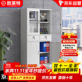Shenglaite self-operated filing cabinets, filing cabinets, iron cabinets, office cabinets, steel filing cabinets, storage cabinets, two-bucket filing cabinets