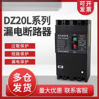 溥畔DZ20L-250/4300塑壳漏电断路器 保护开关200A225 160A