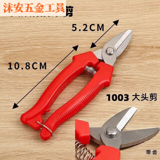 Fancychic thickened stainless steel gardening shears for navel orange and apple picking, stainless steel fruit picking pruning shears, thickened version, 5 pieces