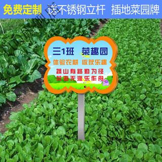 Planting area class sign kindergarten planting area vegetable garden inserting sign vegetable plot sign private shared farm vegetable plot sign hcp-15 20x30cm