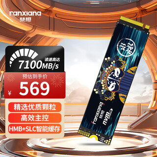 梵想（FANXIANG）1TB SSD固态硬盘 M.2接口NVMe协议PCIe4.0x4 PS5台式机笔记本电脑扩展硬盘 PC存储配件 S790E