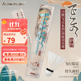 川崎（KAWASAKI）羽毛球训飞天6号耐打专业比赛训练鹅毛球10个装