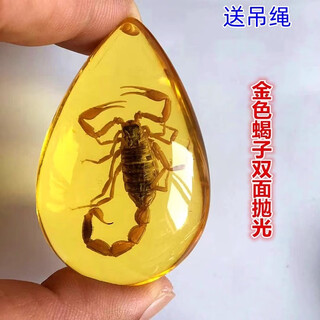Fat donglai's same amber insect specimens for elementary school textbooks popular insect amber resin ornaments butterfly crab creative hanging scorpion + hanging rope
