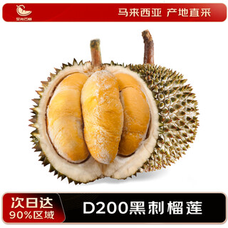 至尚云巅黑刺榴莲冷冻生鲜水果D200 5.0-5.5斤【豪华果 保5房】