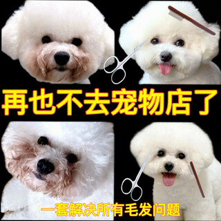 Clearance sale, professional pet grooming set, tear comb, scissors, cat and dog cleansing and combing grooming scissors, great value set, scissors + long comb + short comb