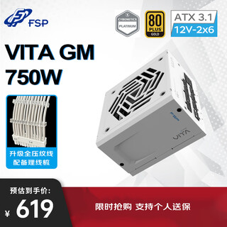 全汉（FSP）VITA GM 750W雪装版金牌全模组电源（ATX3.1/PCle 5.1 12V-2x6接口/105℃日系电容/全压纹线）