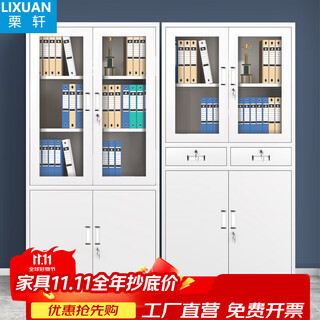 Lixuan file cabinet iron cabinet steel office cabinet finance office file cabinet iron data cabinet short cabinet locked voucher cabinet large equipment file cabinet economic model