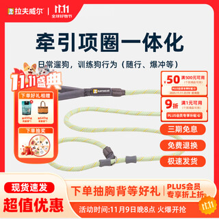 Ruffwell just p rope dog leash p chain medium-sized dog ruffwear dog leash golden retriever leash algae blue