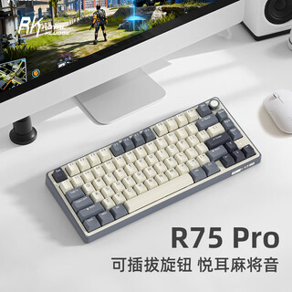 RK R75Pro游戏机械键盘无线蓝牙有线三模电竞专用电脑办公客制化75配列女生便携侧刻麻将音网页驱动 R75Pro-五十度灰-烟雨轴V2-三模