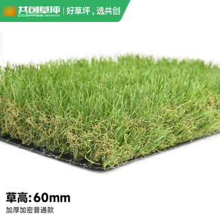 Co-create lawn artificial turf courtyard kindergarten golf simulated turf garden gym school rooftop fake lawn villa 60mm thickened encrypted ordinary style