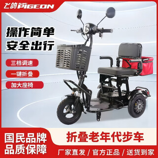 Small electric tricycle for home use to pick up and drop off children, ladies, elderly parent-child folding car, lightweight battery car, anti-rollover, dual drive, lithium battery, 48v-15a - battery life 60 miles