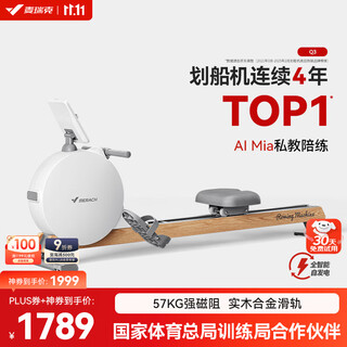 Merrick rowing machine home smart resistance-adjustable magnetic control fitness equipment indoor aerobic and anaerobic exercise q3 self-generating - solid wood alloy double slide rails