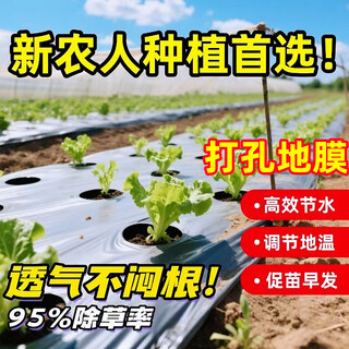 Perforated silver black mulch film for strawberries, garlic, onions, morels, medicinal materials, insulation, weeding, vegetable planting, special black film 1 silk black 1.2 meters wide 320 meters double row of holes