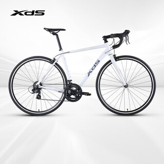 Xidesheng (xds)xds rc200