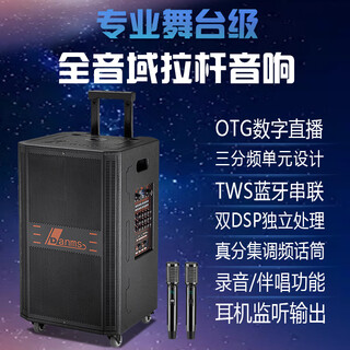 Danmark outdoor trolley audio high-power professional square dance karaoke audio 18-inch heavy bass three-way bluetooth sound card live broadcast mobile event conference speaker dual charging microphone h-9115 (15-inch heavy bass)