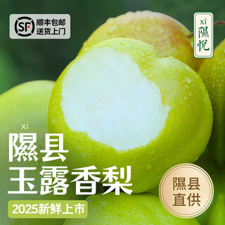 隰县玉露香梨顺丰现货山西香梨水果隰县小西天特产生鲜特产 9粒大果（净重5-6斤）单果80+mm