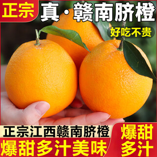 粤迎赣南脐橙橙子正宗精品当季新鲜水果手剥橙子原产地直发香甜好吃 5斤优选果【香甜爆汁】净4.5斤