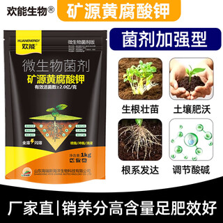 Mineral source potassium fulvic acid humic acid water-soluble fertilizer to strengthen seedlings, regulate soil acidity and alkali, vegetables, fruit trees and flowers, bacteria-enhanced 1kg*1 bag