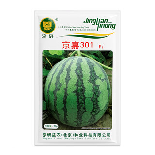 Jingyan academy of agricultural sciences watermelon seed jingxin jingmei sweet king 8424 kirin melon seedless lazy man rock sugar small watermelon seed jingyan jingjia 301 10g