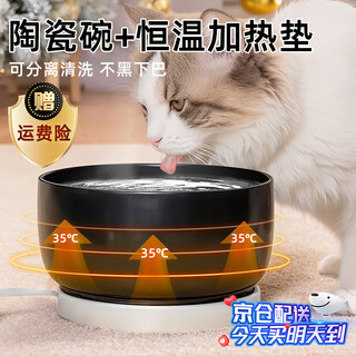 贝初众酸奶机猫咪饮水机恒温水碗可加热宠物加热猫碗盆狗狗喝水器陶瓷碗 【恒温加热垫+黑陶瓷碗】-850ML 黑色加厚【35-45℃恒温】 水电分离易清洗-恒温加热护肠胃
