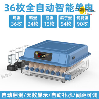 Rsrddy egg incubator household fully automatic small water bed small egg rutin incubator machine intelligence 36 pieces of intelligent single electric temperature + number of days