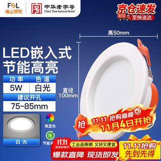 Foshan lighting (fsl) led downlight embedded hole light aisle anti-fog light ceiling ceiling light 5w 2.5 inch white light all white