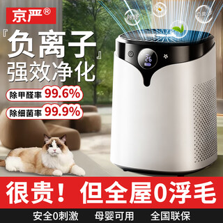 Jingyan air purifier removes formaldehyde and odor artifact, household negative ion ozone purifier, absorbs cat hair allergens, removes smoke odor and dust, new house emergency move-in indoor air disinfection machine, flagship version 150, full purification | remove formaldehyde, smoke odor and odor | suitable for pregnant and infants, including consumables | formaldehyde removal rate 99%, real-time detection | active capture | medical grade