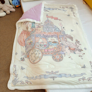 Moedoobie soft baby milk quilt thickened and warm children's baby autumn and winter quilt blanket spring autumn quilt kindergarten quilt moving castle 120*150 milk velvet thickened quilt room temperature 0-15