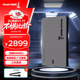 长城（Great Wall）8TB SSD固态硬盘 SATA3.0接口 读速540MB/S台式机/笔记本通用 GW560系列