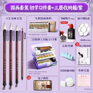 Marley chinese painting beginner's set for primary school students, chinese painting pigment tool set, special brush for rice paper and ink painting, complete set of 12 pieces + purple box 12 colors 5ml