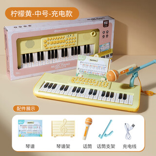 乐乐鱼（leleyu）37键电子琴儿童玩具乐器初学者早教带话筒小钢琴男女孩生日礼物