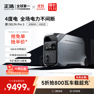ECOFLOW正浩【4度电超大容量】德Pro3快充移动户外电源220V大功率户外作业应急停电医疗呼吸机储能露营