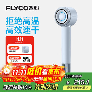 Flyco high-speed hair dryer birthday gift home dormitory portable travel quick-drying negative ion hair care high-power hair dryer fh6371 starry sky gray national subsidy