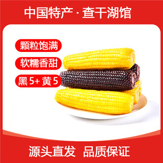 Keep w-village go selects northeastern corn, 10 pieces of fresh, sweet and fragrant vacuum-packed corn, healthy whole grain corn sticks, 5 black and 5 yellow, 10 pieces (single piece is more than 180g)