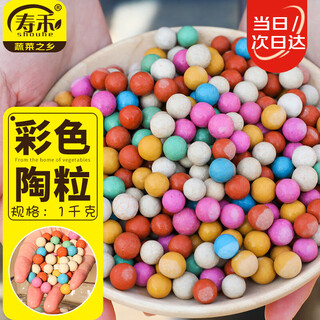 Shouhe colorful ceramsite flower cultivation hydroponic fish tank flower pot decoration colorful large ceramsite paving stone 8-10mm1000g