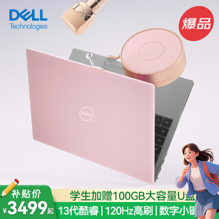 Dell (dell) computer notebook thin and light inspiron 15pro high-performance core notebook office notebook pink female college student computer ultra-thin independent display business portable notebook computer first love powder | 15pro powder case 15.6 inches high configuration i5 | 32g | 2000g