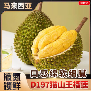 Jingdida malaysian musang king durian d197 net weight 3jin jin is equal to 0.5kg single fruit 3jin jin is equal to 0.5kg liquid nitrogen frozen durian straight from the source