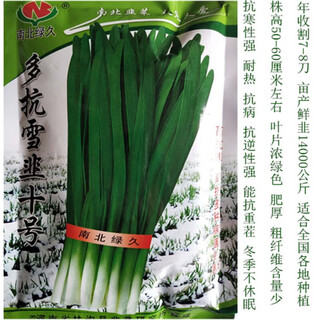 Henan leek seeds are highly cold-resistant, disease-resistant, high-yielding and non-dormant for field planting and have multiple snow-resistant leek no. 10 leek seeds.